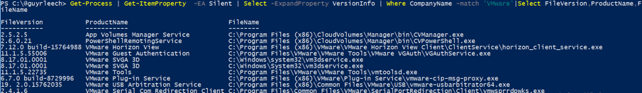 Screenshot of PowerShell ISE: The command described in the text delivers as output information about all processes whose company name contains VMware